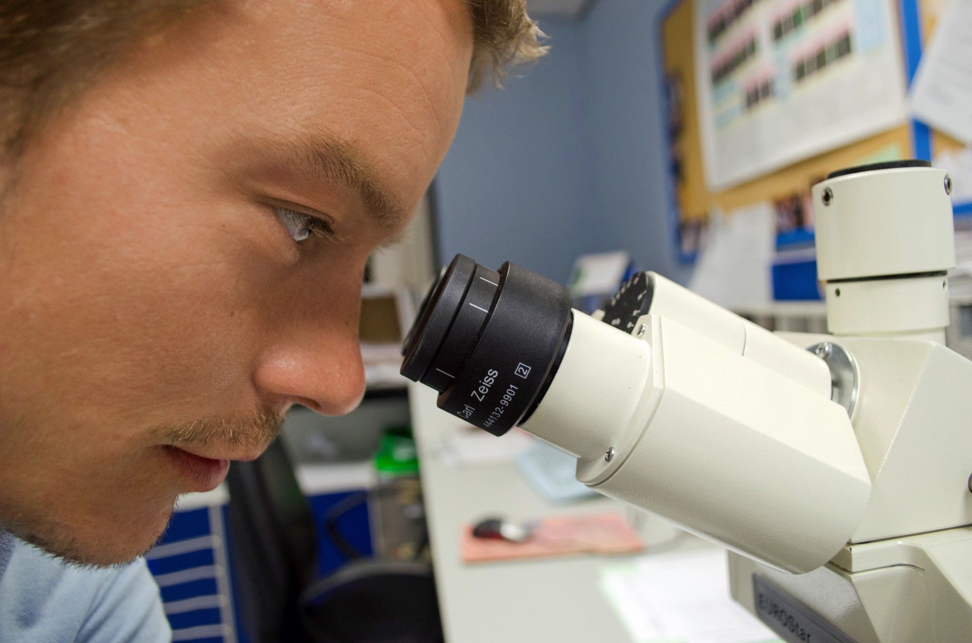 Sample being examined under a laboratory microscope